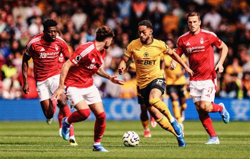 诺丁汉森林 vs 狼队