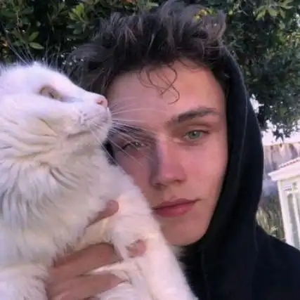 6686体育平台金牌作者Doris