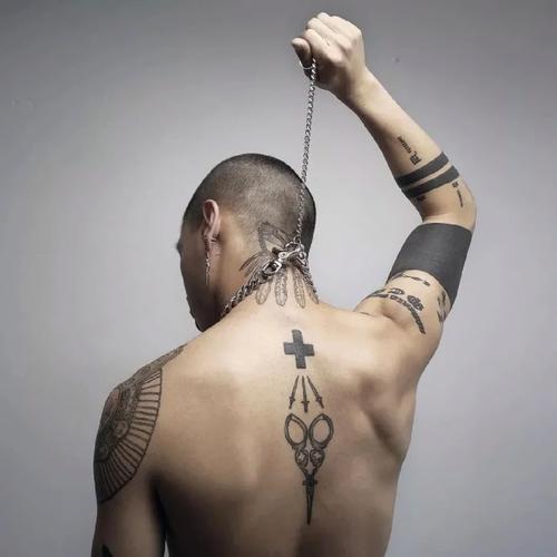 6686体育平台合作伙伴Maximus