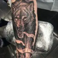 6686体育平台官方作者Orion