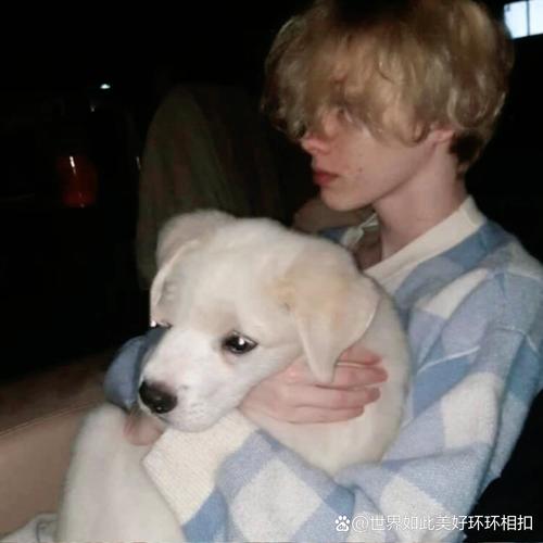 6686体育平台铁牌作者Alice