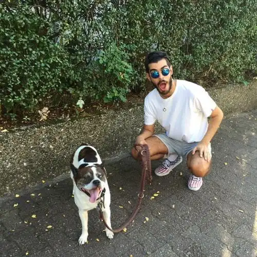 6686体育平台特邀作者鲨勒巴基