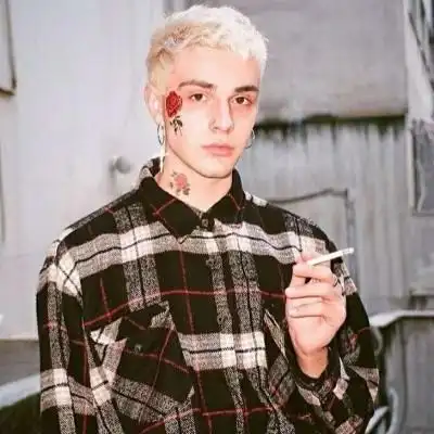 6686体育平台初级作者Vega