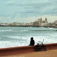 6686体育平台中级作者憨憨女王