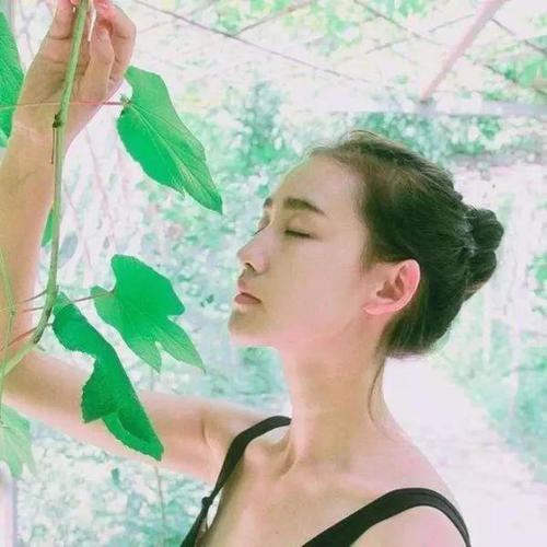 6686体育平台铁牌作者John