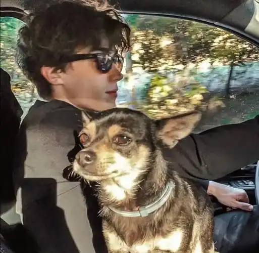 6686体育平台初级作者夢在遠方