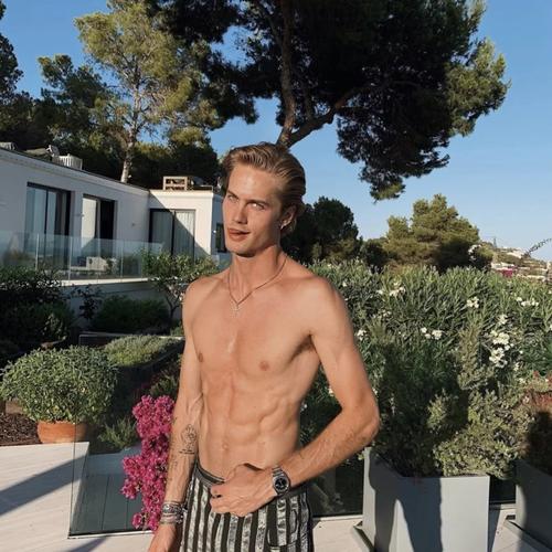 6686体育平台合作伙伴Avery